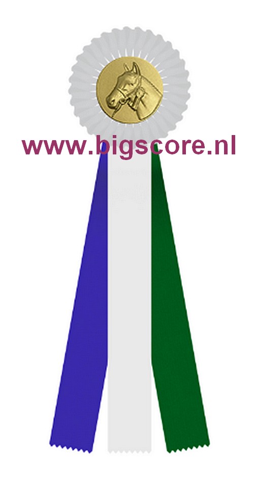 R 12 1-Ringsrozet Multi 3 liasters Blanco Ø 10,5 L: 25 cm met optie Full-Colour Ø 50 mm afslag